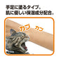 トーラス 愛猫用 噛みぐせノン 手・足への噛みぐせ防止に 100ml