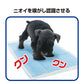 トーラス 愛犬愛猫用おマル上手 強力トイレのしつけスプレー 100ml