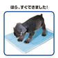トーラス 愛犬愛猫用おマル上手 強力トイレのしつけスプレー 100ml