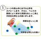 トーラス 愛犬愛猫用おマル上手 強力トイレのしつけスプレー 100ml