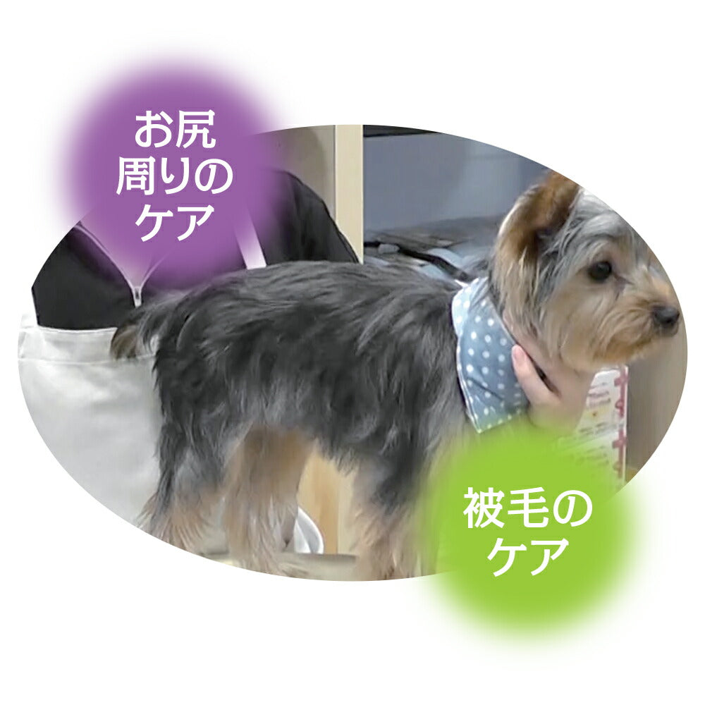 トーラス まるごとお手入れスプレー 300ml