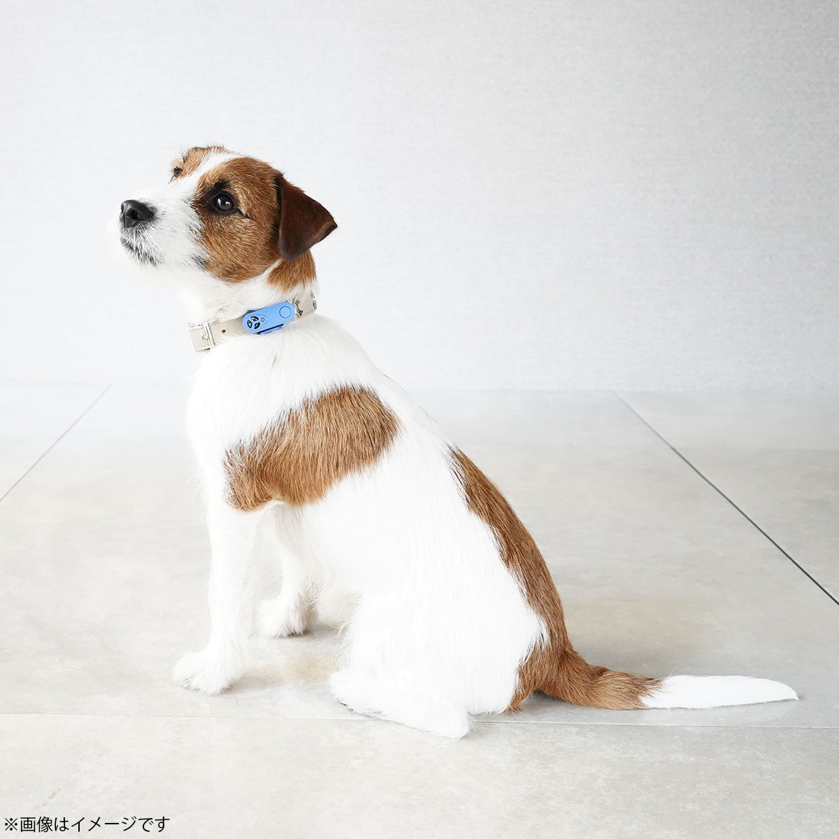 チックレス TICKLESS USBタイプ 虫よけ ノミ対策 ダニ対策 超音波 犬 猫 ペット ブラック
