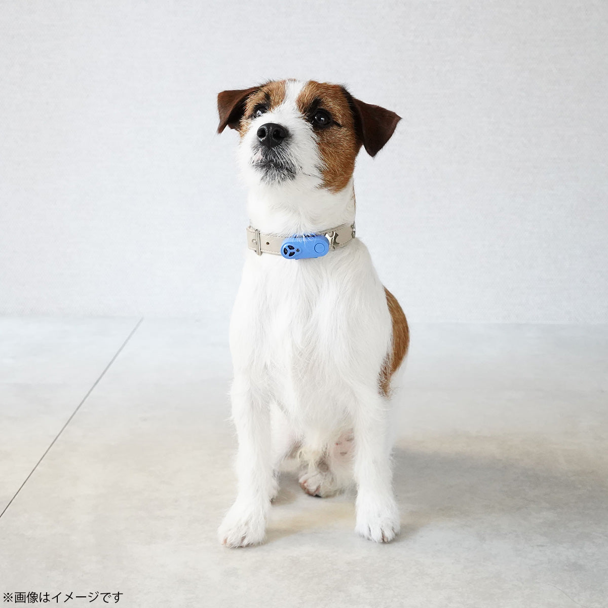 チックレス TICKLESS USBタイプ 虫よけ ノミ対策 ダニ対策 超音波 犬 猫 ペット ブラック