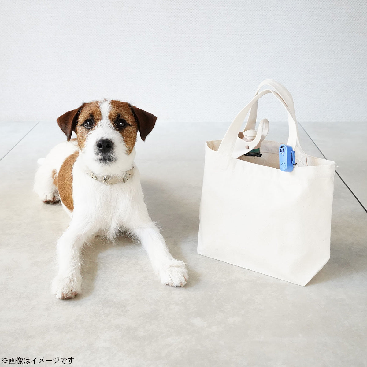 チックレス TICKLESS USBタイプ 虫よけ ノミ対策 ダニ対策 超音波 犬 猫 ペット ブラック
