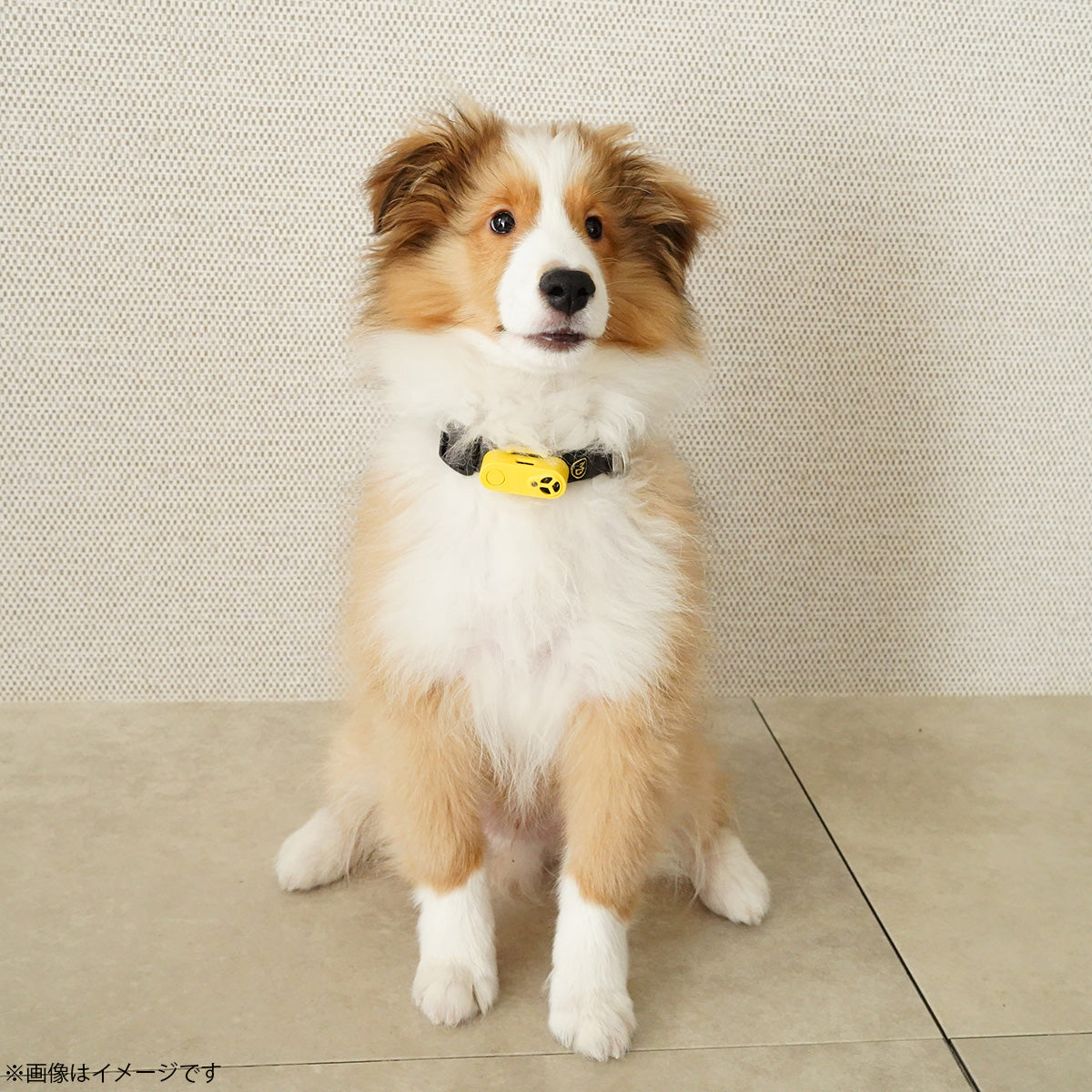 チックレス TICKLESS USBタイプ 虫よけ ノミ対策 ダニ対策 超音波 犬 猫 ペット ブラック