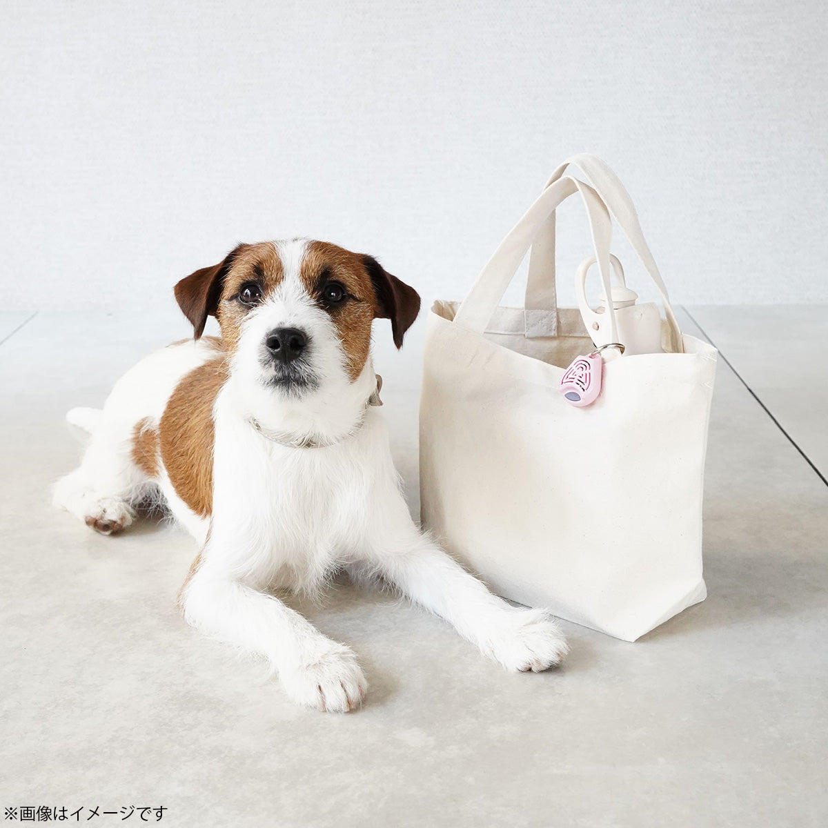 チックレス TICKLESS バッテリータイプ 虫よけ ノミ対策 ダニ対策 超音波 犬 猫 ペット エコブラウン
