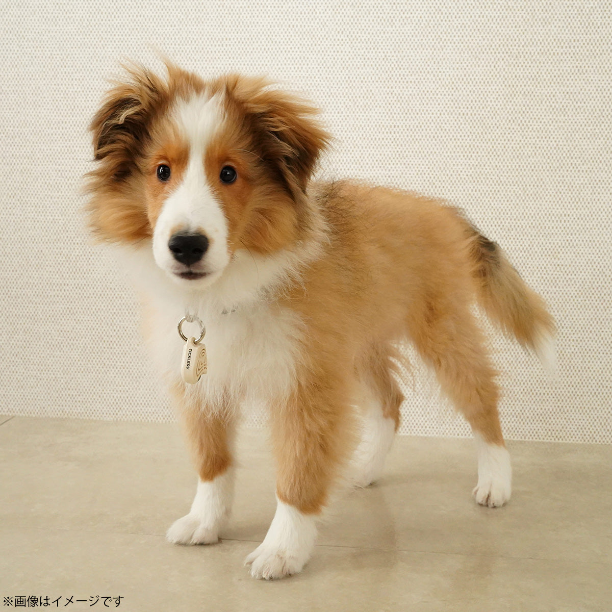 チックレス TICKLESS バッテリータイプ 虫よけ ノミ対策 ダニ対策 超音波 犬 猫 ペット エコブラウン
