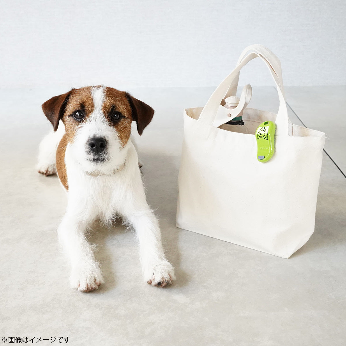 チックレス TICKLESS アウトドアタイプ 虫よけ ノミ対策 ダニ対策 超音波 犬 猫 ペット オレンジ