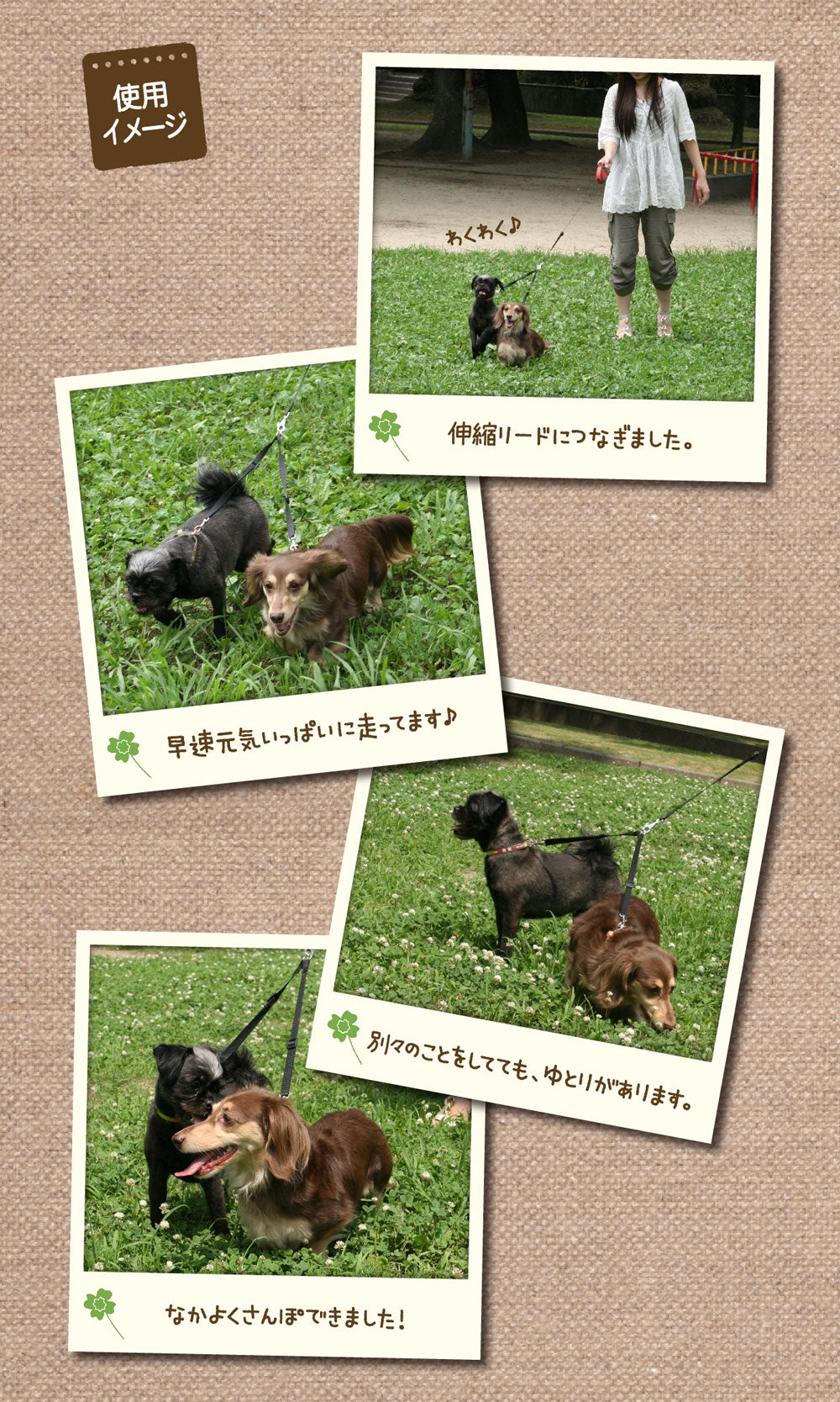ファンタジーワールド ファンタジーツインリード L 複数飼い 2頭引き