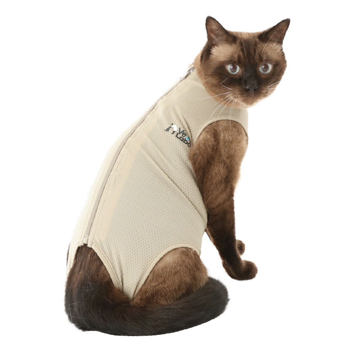 ベッツラボ 猫用 ベッツウェア 術後服 皮膚保護服 XL グレージュ