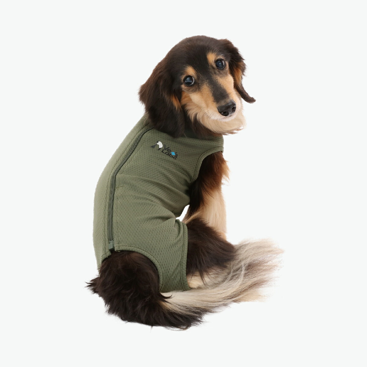 ベッツラボ 犬用 ベッツウェア 術後服 皮膚保護服 男の子用 MD カーキ【送料無料】