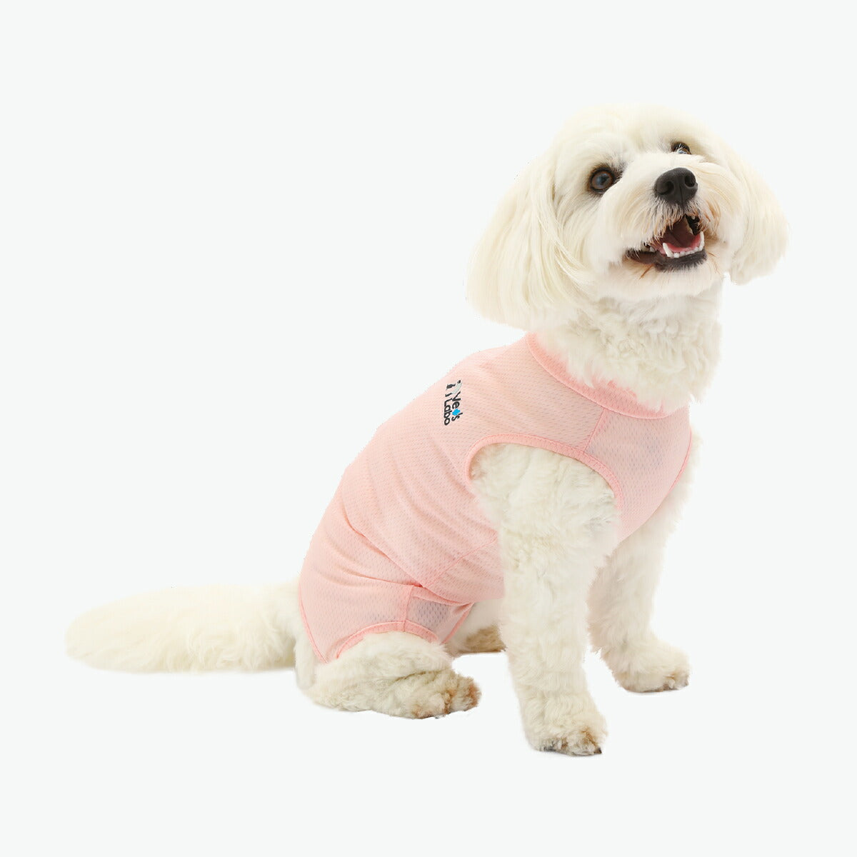 ベッツラボ 犬用 ベッツウェア 術後服 皮膚保護服 女の子用 MD ピンク【送料無料】