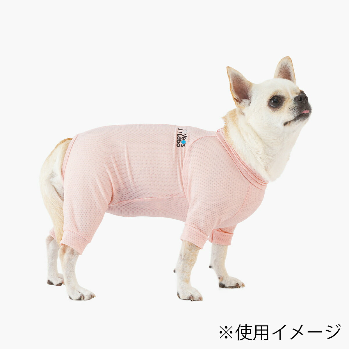 ベッツラボ 犬用 ベッツウェア 術後服 皮膚保護服 袖付き 女の子用 XS ピンク【送料無料】