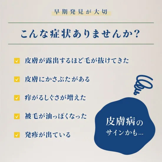 ベッツソリューション Vet Solution ドッグフード 犬用食事療法食 ウェットトレイ 皮膚サポート 150g×24個