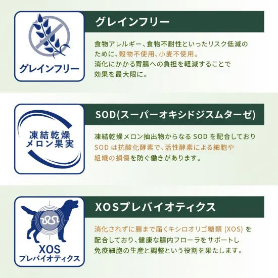 ベッツソリューション Vet Solution ドッグフード 犬用食事療法食 ウェットトレイ 皮膚サポート 150g