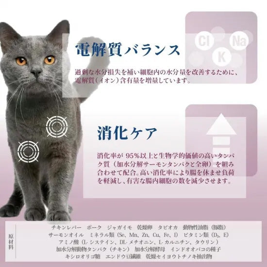 ベッツソリューション Vet Solution キャットフード 猫用食事療法食 ウェットトレイ 胃腸サポート 100g×12個
