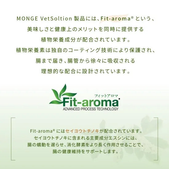 ベッツソリューション Vet Solution キャットフード 猫用食事療法食 ウェットトレイ 胃腸サポート 100g×12個