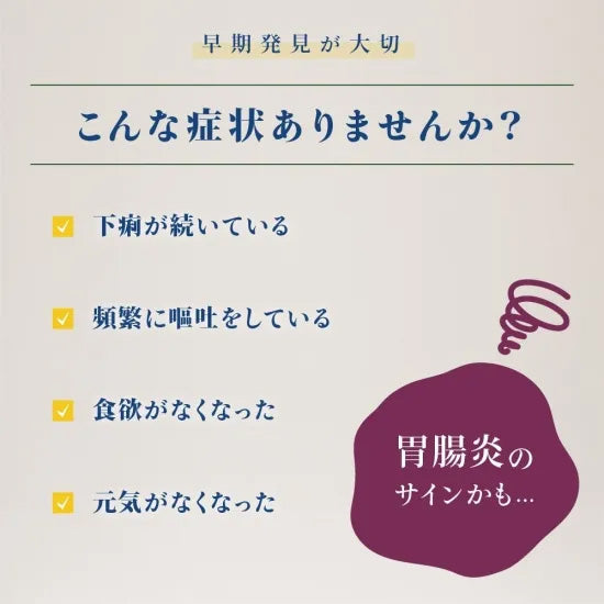 ベッツソリューション Vet Solution キャットフード 猫用食事療法食 ウェットトレイ 胃腸サポート 100g