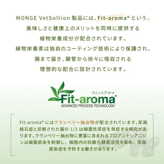 ベッツソリューション Vet Solution キャットフード 猫用食事療法食 ウェットトレイ 尿中ストルバイトサポート 100g×12個