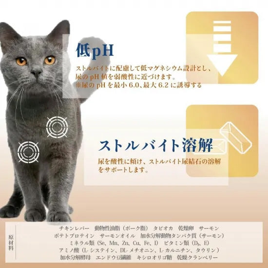 ベッツソリューション Vet Solution キャットフード 猫用食事療法食 ウェットトレイ 尿中ストルバイトサポート 100g