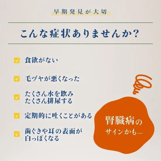 ベッツソリューション Vet Solution キャットフード 猫用食事療法食 ウェットトレイ 腎臓＆シュウ酸塩サポート 100g×12個