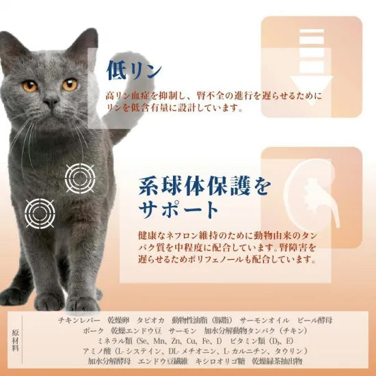 ベッツソリューション Vet Solution キャットフード 猫用食事療法食 ウェットトレイ 腎臓＆シュウ酸塩サポート 100g×12個