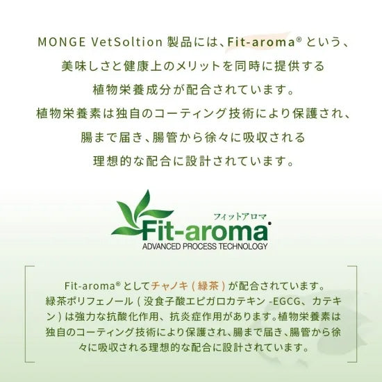 ベッツソリューション Vet Solution キャットフード 猫用食事療法食 ウェットトレイ 腎臓＆シュウ酸塩サポート 100g×12個