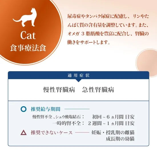 ベッツソリューション Vet Solution キャットフード 猫用食事療法食 ウェットトレイ 腎臓＆シュウ酸塩サポート 100g