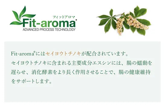 ベッツソリューション Vet Solution ドッグフード 犬用食事療法食 胃腸サポート 3kg