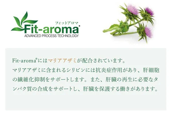 ベッツソリューション Vet Solution ドッグフード 犬用食事療法食 肝臓サポート 3kg