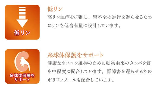 ベッツソリューション Vet Solution ドッグフード 犬用食事療法食 腎臓＆シュウ酸塩サポート 800g