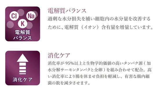 ベッツソリューション Vet Solution キャットフード 猫用食事療法食 胃腸サポート 2kg