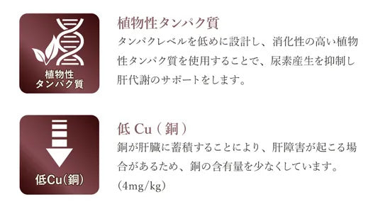 ベッツソリューション Vet Solution キャットフード 猫用食事療法食 肝臓サポート 2kg