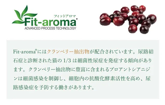 ベッツソリューション Vet Solution キャットフード 猫用食事療法食 尿中ストルバイトサポート 400g