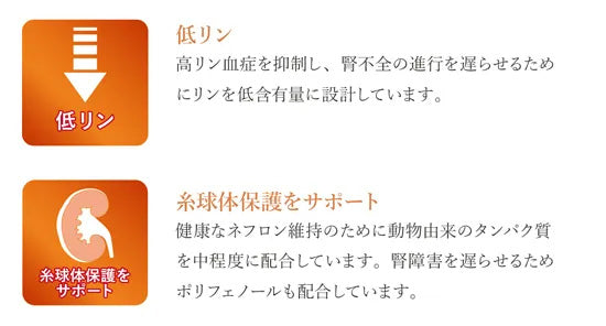 ベッツソリューション Vet Solution キャットフード 猫用食事療法食 腎臓サポート 400g