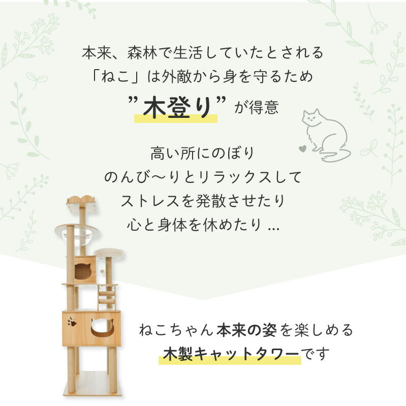 Wanyanya わにゃにゃ 木登りアスレチックタワー ハイタイプ【送料無料】