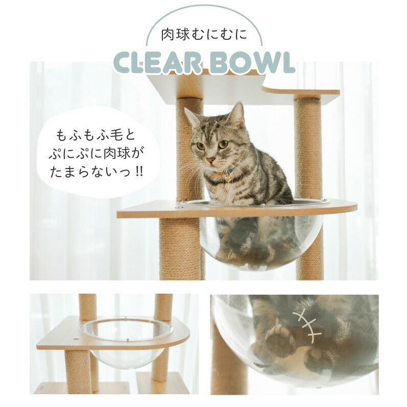 Wanyanya わにゃにゃ 木登りアスレチックタワー ハイタイプ【送料無料】