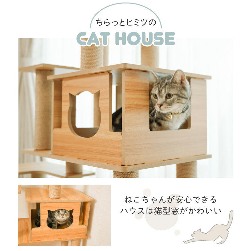 Wanyanya わにゃにゃ 木登りアスレチックタワー ハイタイプ【送料無料】