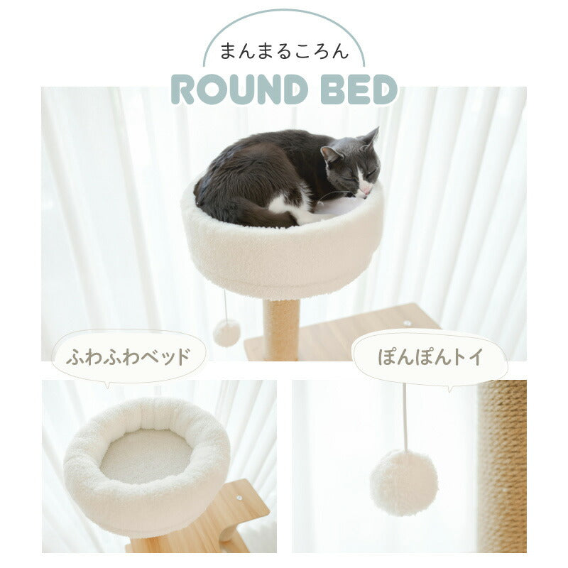 Wanyanya わにゃにゃ 木登りアスレチックタワー ハイタイプ【送料無料】