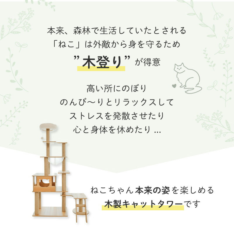 Wanyanya わにゃにゃ 木登りアスレチックタワー ワイドタイプ【送料無料】