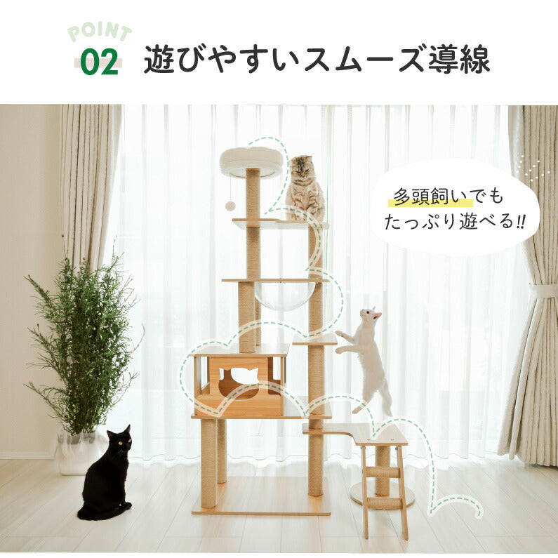 Wanyanya わにゃにゃ 木登りアスレチックタワー ワイドタイプ【送料無料】