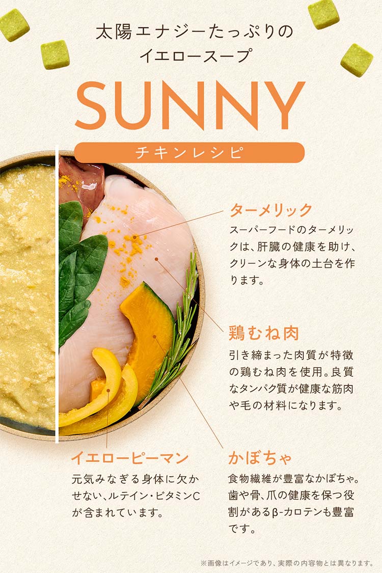 ワンスープ WanSoup 国産 SUNNY チキンレシピ ミニパック フリーズドライ スープ 26g×40個