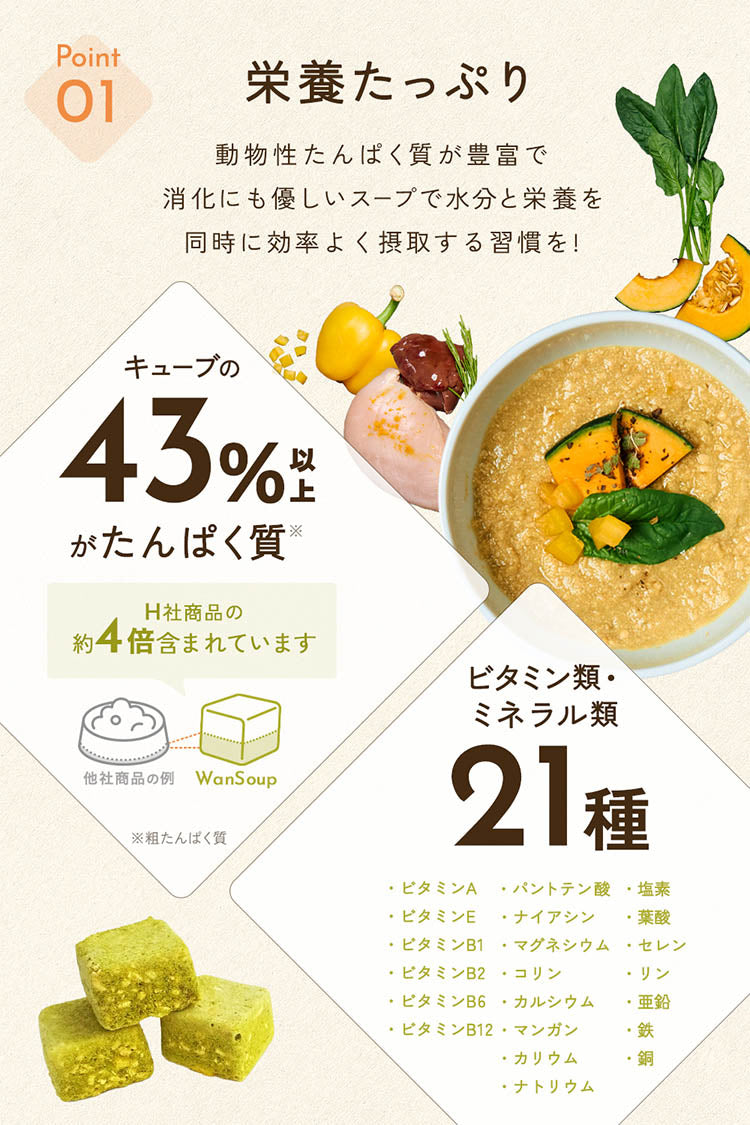 ワンスープ WanSoup 国産 SUNNY チキンレシピ ミニパック フリーズドライ スープ 26g×40個