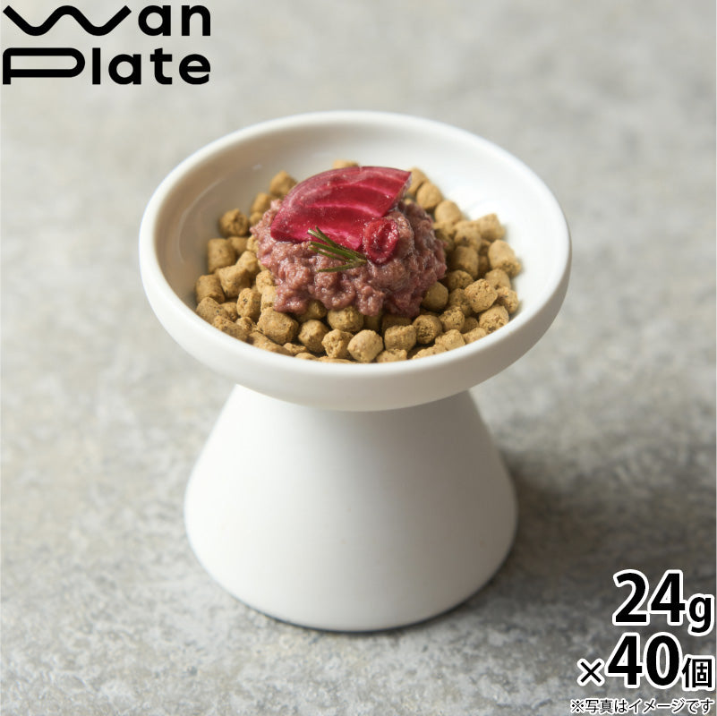 ワンスープ WanSoup 国産 ROSIE ホースレシピ ミニパック フリーズドライ スープ 24g×40個