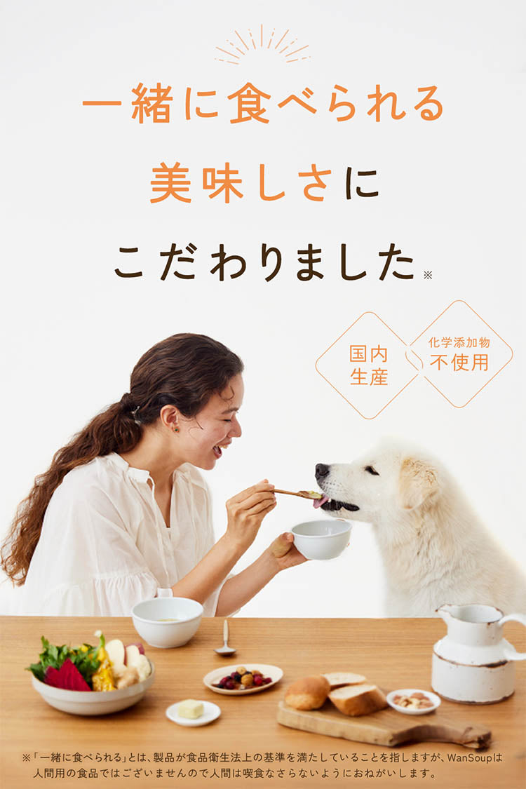 ワンスープ WanSoup 国産 ROSIE ホースレシピ ミニパック フリーズドライ スープ 24g×40個