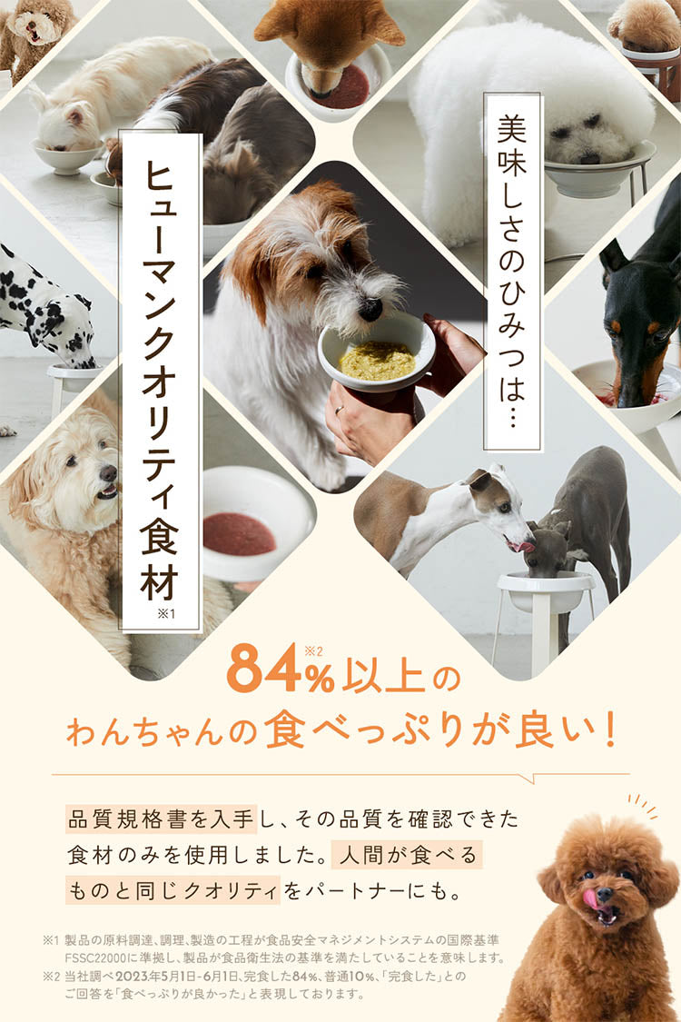 ワンスープ WanSoup 国産 WHITEY タラレシピ ミニパック フリーズドライ スープ 28g×10個
