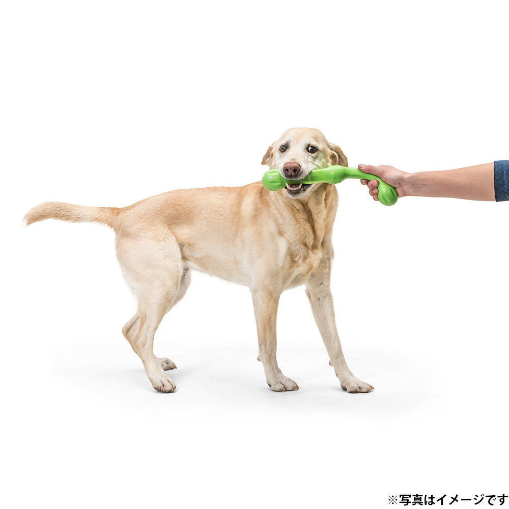 West Paw ウェストポウ ゾゴフレックス・エコー ズイッグ 犬用おもちゃ L アクアブルー
