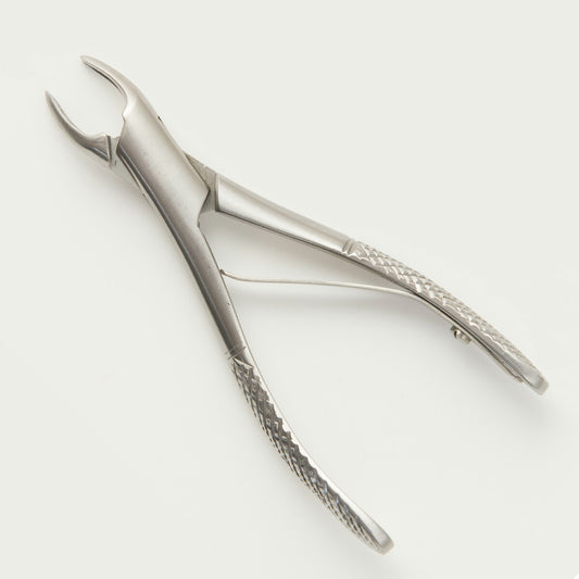 帝塚山ハウンドカム 愛犬・愛猫用 歯石取り ペンチ 犬 歯石 デンタルケア ホームケア 猫 プロも愛用 【送料無料】