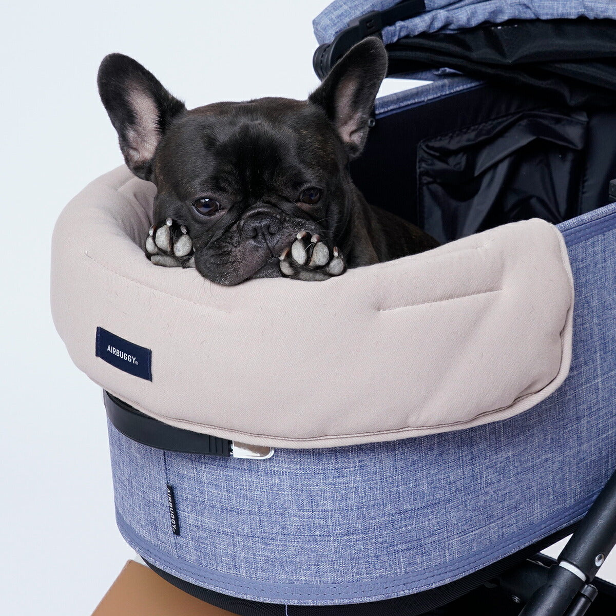 エアバギー フォー ペット ドーム3 あごのせクッション（コットカバークッション） DOME3 COT COVER CUSHION ベージュ【送料無料】 ペットカート AIRBUGGY