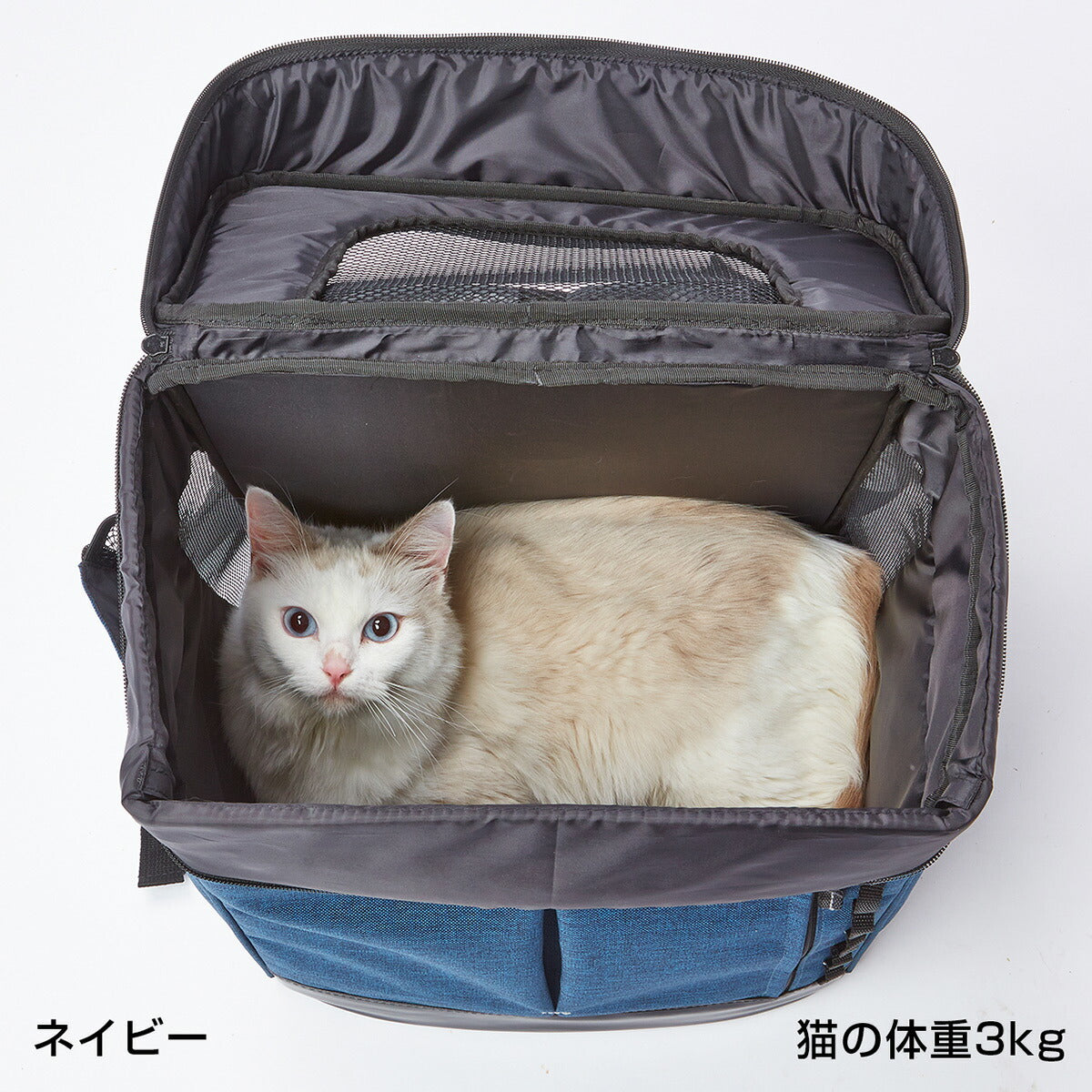 アドメイト Liscio CAT リュックキャリー ネイビー【送料無料】